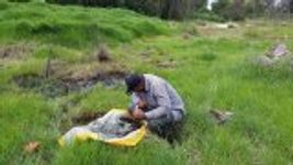 Water Beetle Collecting Sheet