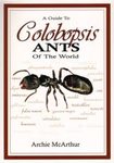 A Guide to Colobopsis Ants of the World