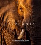 Remembering Elephants