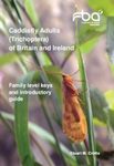 Caddisfly Adults (Trichoptera) of Britain and Ireland