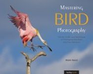 Mastering Bird Photography