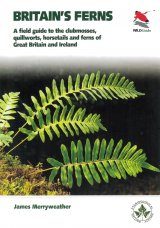 Britain's Ferns