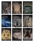Handbook of the Mammals of the World, Volumes 1 to 9