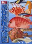 Illustrated Fishes in Colour (2-Volume Set) [Japanese]