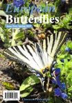 European Butterflies, Issue 2: Spring 2019