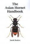 The Yellow-Legged Asian Hornet