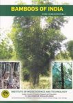 Bamboos of India