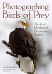 Photographing Birds Of Prey