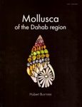 Mollusca of the Dahab Region