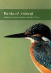 Birds of Ireland