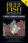 Reef Fish Behavior