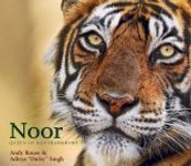 Noor