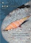 News on Costellariidae (Gastropoda: Muricoidea)