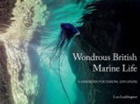 Wondrous British Marine Life