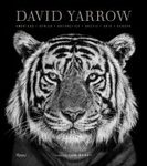 David Yarrow