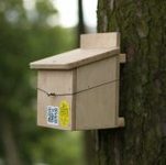 Dormouse Nest Box