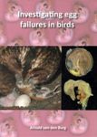 Investigating Egg Failures in Birds