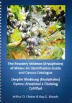 The Powdery Mildews (Erysiphales) of Wales