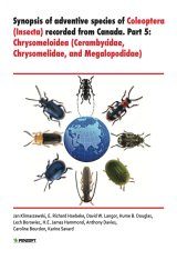 Synopsis of Adventive Species of Coleoptera (Insecta) Recorded from Canada, Part 5: Chrysomeloidea (Cerambycidae, Chrysomelidae, and Megalopodidae)