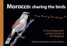 Morocco – Sharing the Birds