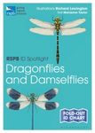 RSPB ID Spotlight: Dragonflies and Damselflies