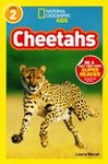Cheetahs