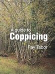 A Guide to Coppicing