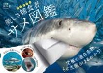 Utsukushiki Hoshoku-Sha Same Zukan [Predatory Shark Pictorial Book]