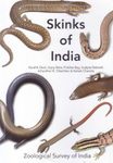 Skinks of India