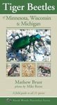Tiger Beetles of Minnesota, Wisconsin & Michigan