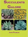 Succulents Galore