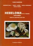 Fungi Europaei, Volume 14A: Hebeloma (Fr.) P. Kumm. – Supplement, Based on Collections from Italy [English]