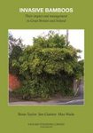 Invasive Bamboos