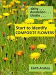 Start to Identify Composite Flowers