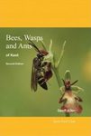 Bees, Wasps and Ants of Kent
