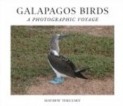 Galapagos Birds