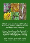 White Moulds, Ramularia and Phacellium Anamorphs in Wales and Britain