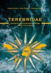 Terebridae