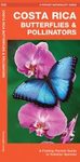 Costa Rica Butterflies & Pollinators