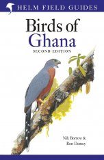 SASOL Birds of Southern Africa | NHBS Field Guides & Natural SASOL Birds of Southern Africa | NHBS Field Guides & Natural