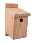 NHBS Wooden Bird Nest Box