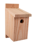 NHBS Wooden Bird Nest Box