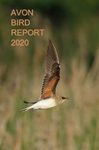 Avon Bird Report 2020