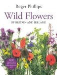 Wild Flowers of Britain and Ireland