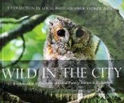 Wild in the City