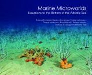 Marine Microworlds