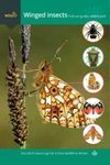 FSC Wildlife Pack: Winged Insects