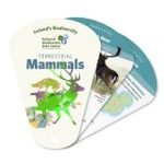 Ireland's Biodiversity: Terrestrial Mammals