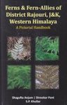 Ferns & Fern-Allies of District Rajouri, J&K, Western Himalaya