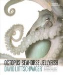Octopus, Seahorse, Jellyfish